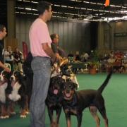 Exposition Fred Rodriguez