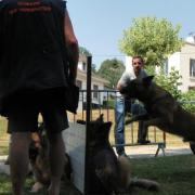 Démonstration Alko-Pin Up