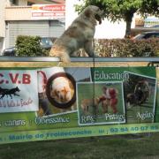 Démonstration Belle