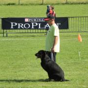 JP Cordelle-Andie concours ring