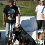 Exposition Fred Rodriguez